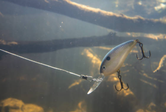 crankbaits, crankbaits for sale, buying crankbaits online, affordable crankbaits