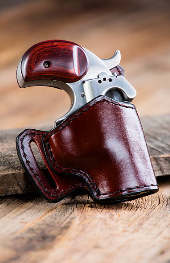 derringer, concealed derringer, derringers for sale