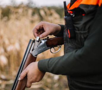 over under shotgun, over under shotgun for hunting, hunting shotgun over under, over under shotgun for sale