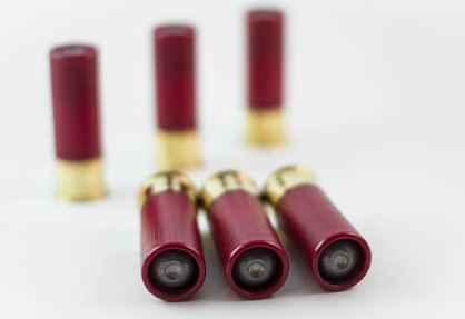 shotgun ammo, shotgun shells, shotgun ammo for sale, hollowpoint slugs, shotgun slugs, shotgun shells for sale