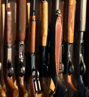 shotguns, how to choose the right shotgun, and different types of shotguns, shotguns for sale