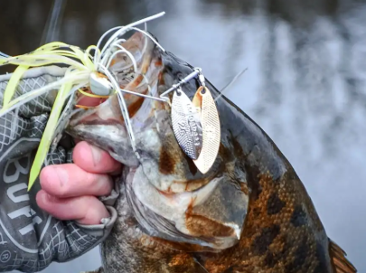 spinnerbait, spinnerbaits for bass, bass fishing spinnerbaits, smallmouth bass spinnerbaits