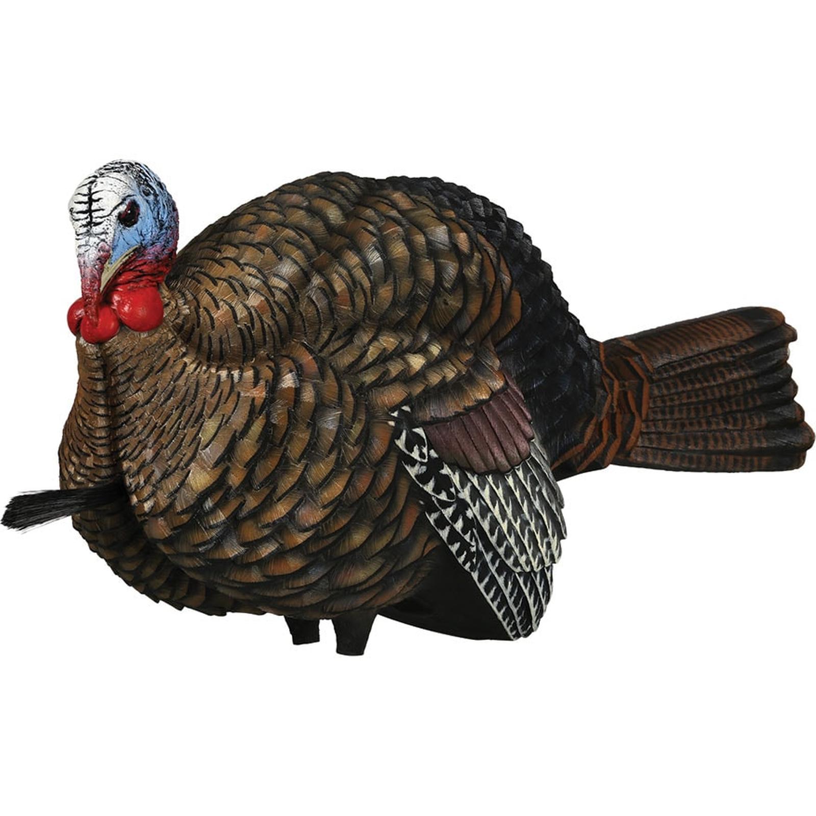 Avian-X LCD 1/2 Strut Jake Turkey Decoy - Fin Feather Fur Outfitters