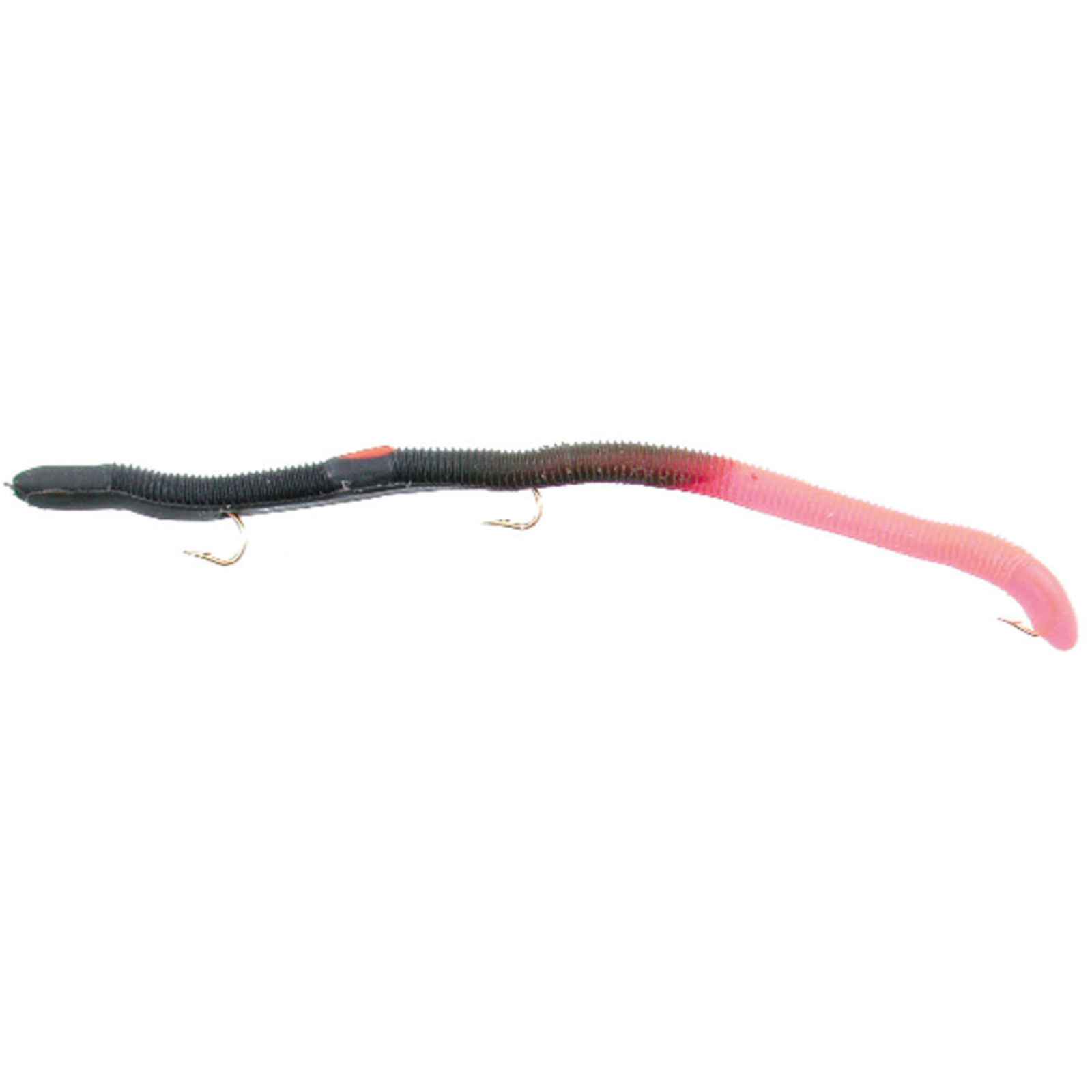 Kellys Fire Tail Worm-P/P