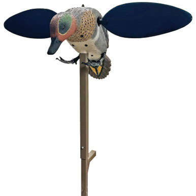 Mojo Outdoors HW2555 Green Winged Teal Teal Species - Fin Feather