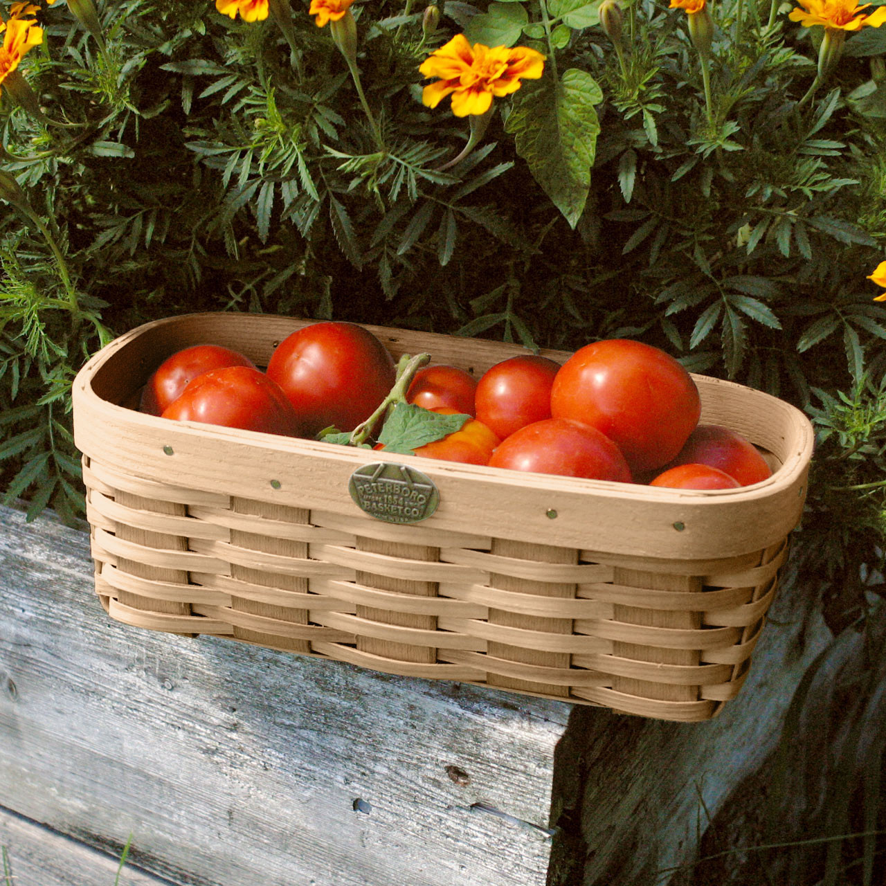 Tomato Basket | Peterboro Tomato Basket