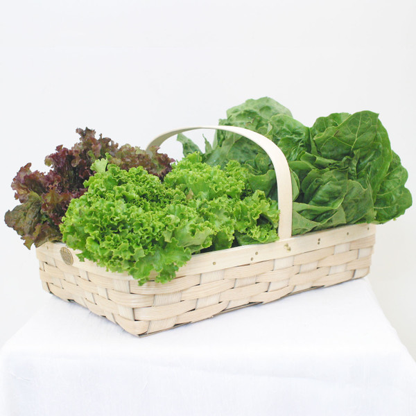 Peterboro Gardening Caddy - Honey