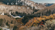 HUNTS: The Meaning of the Chase