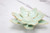 Juniper & Lark handmade ceramic flower