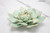 Juniper & Lark handmade ceramic flower