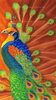 Beautiful color peacock10140