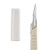 Medicut™ Scalpel Size 10 Stainless Steel / Plastic Sterile Disposable SCALPEL, SZ10 (10/BX)
