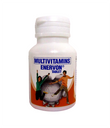 Enervon Multivitamins and Minerals Tablet - Bottle 30s