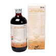 Restor Big Ef Multivitamins and Minerals Syrup 250mL