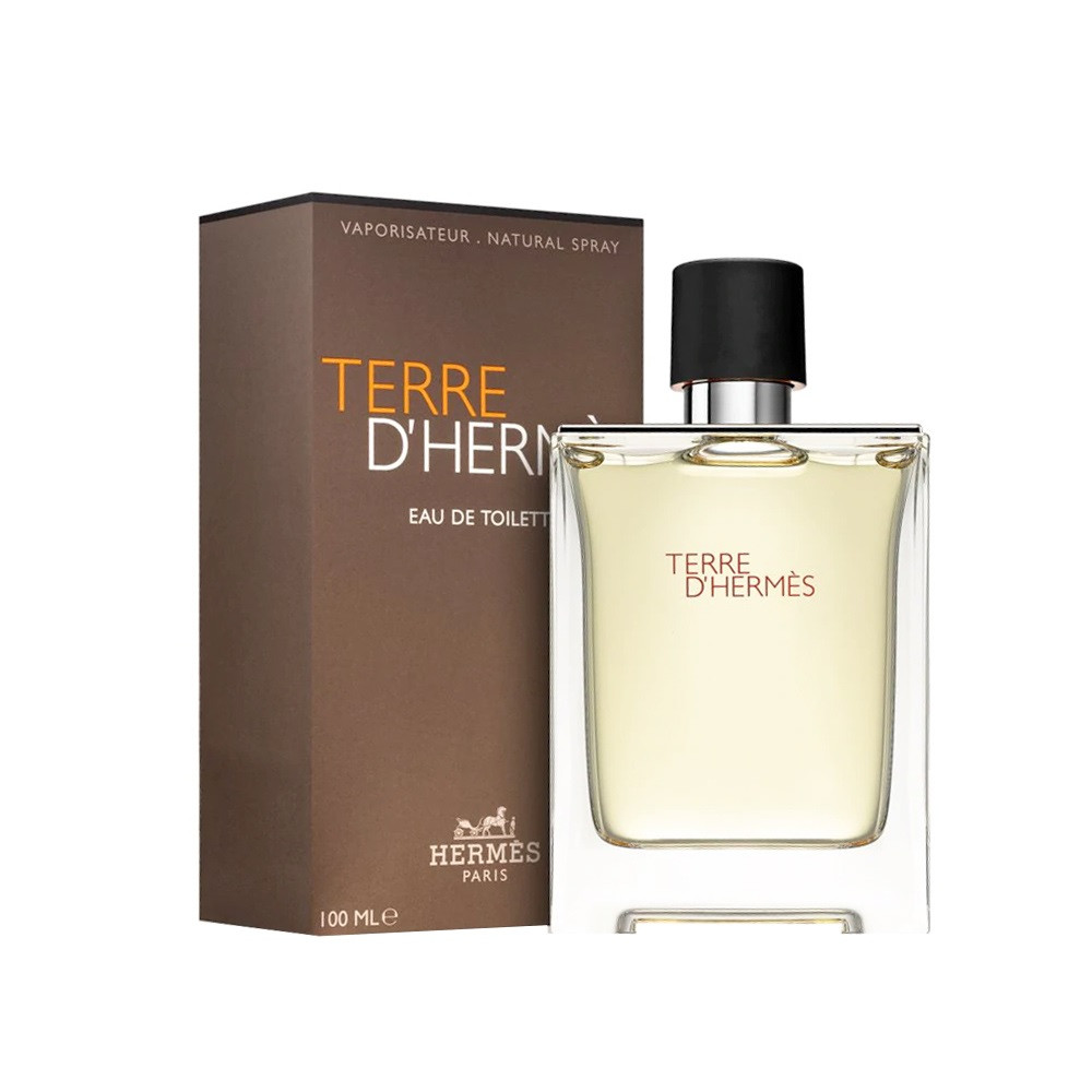 TERRE D'HERMES 3.3 EAU DE TOILETTE SPRAY FOR MEN - Nandansons