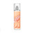 CURVE WAVE 8 OZ FINE FRAGRANCE MIST