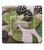 JO MALONE BLACKBERRY & BAY 3.5 SOAP FOR WOMEN