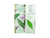 GREEN TEA EXOTIC 3.4 EDT SP