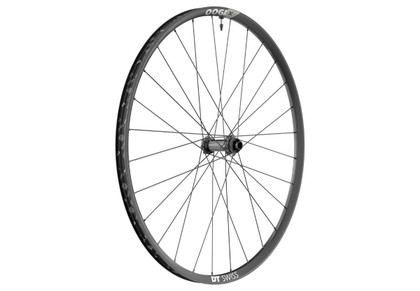 Roue avant DT SWISS X1900 SPLINE 29 - 25mm CL 15/100mm