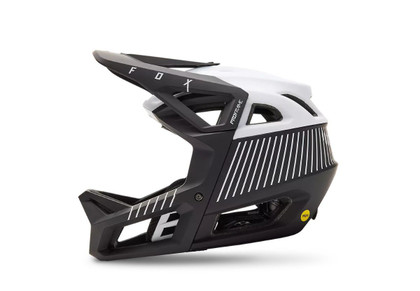 Casque Fox Proframe RS Mash