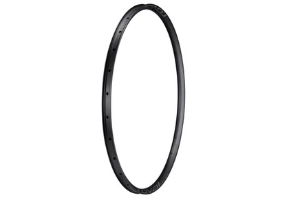 Jante Specialized Roval Control 29 25 mm 28h