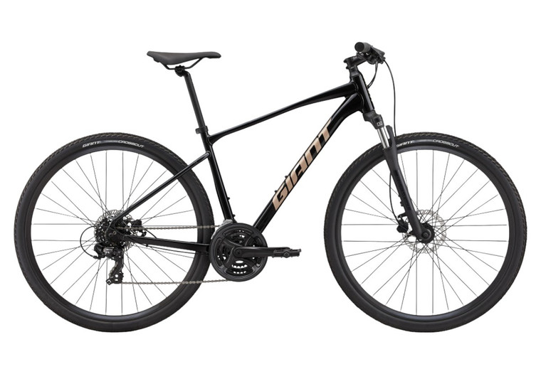 Bicicleta Giant Roam Disc 4 25