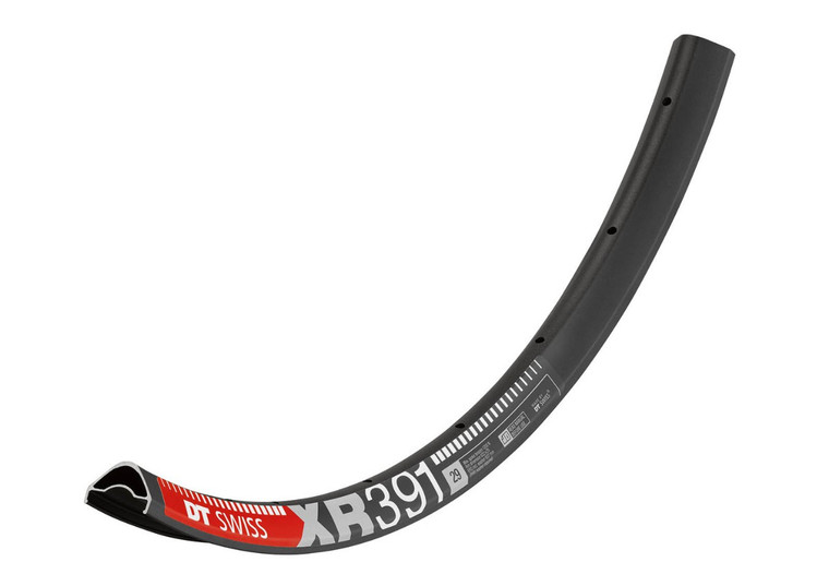 DT Swiss XR 391 Disc 29" 25mm 28H Felge