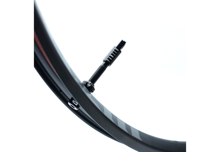 Valve Tubeless Panzer 48mm (2Ud)