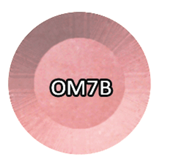 CHISEL 2IN1 ACRYLIC & DIPPING 2OZ - OMBRE B COLLECTION -OM7B