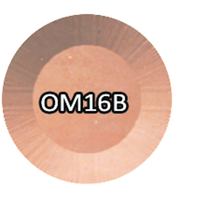 CHISEL 2IN1 ACRYLIC & DIPPING 2OZ - OMBRE B COLLECTION -OM16B