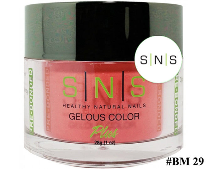 SNS Powder Color 1.5 oz - #BM29 Dutch Tulip