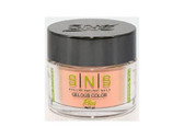 SNS Powder Color 1.5 oz - #NOS24