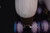 *Slightly* Used VNLA A La Mode Jelly Roll Outdoor Roller Skates || Men's 8 (Ladies' 9) Purple