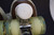 **Slightly** Used VNLA A La Mode Jelly Roll Outdoor Roller Skates | Men's 9 (Ladies' 10) Green