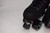 Slightly Used VNLA Luna Jelly Roll Outdoor Roller Skates | Men's 7(Ladies' 8-6.5)