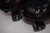 *Slightly Used* VNLA V-Line Fame Indoor Roller Skates | Men's 10 (Ladies' 11)
