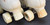 *Slightly* Used Rio Roller Rose Cream Roller Skates | Ladies' US6 / UK4