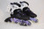 *Slightly Used FILA Legacy QF Ladies'* Inline Skates | Ladies' 6