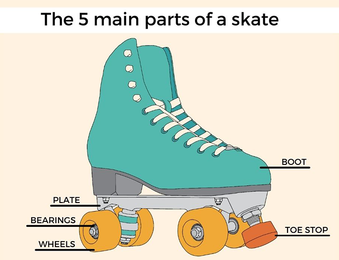 warm dok Archeologisch Anatomy of a Roller Skate - RollerSkateNation.com