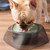 Pet Life ® 'Hydritate' Anti-Puddle Cat and Dog Drinking Water Bowl