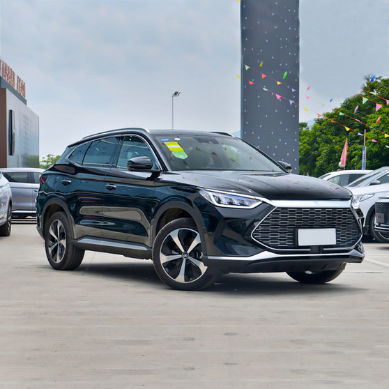 China Brand High Speed New Energy Vehicles BYD Electric Car