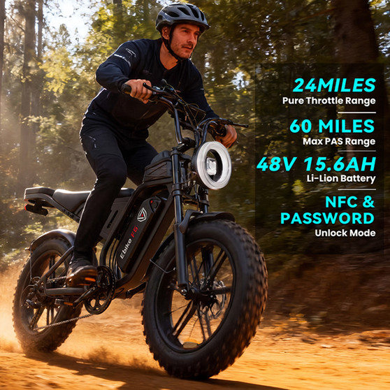 Free Shipping F6 DTTZH US Warehouse  Electric Bike Motorizada 48V15.6Ah  E-Bike Bicycle Electric Ebike Carbon Steel 20" Tires
