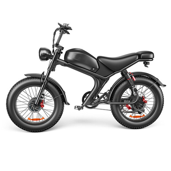 2000w E Fixie Road Ebike E-bike Electric Cycle Bicycle for Men Mountain Bike