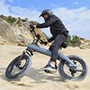 KIXIN Rear Motor Drive Super Urban 20 Inch Fat Wheel Electric City Dirt Bike Bicycle for Adults Aluminum Alloy Electric