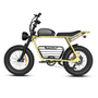 Electric Bike for Adults 20 Inch 48V 16AH Fat Tire Ebike Long Range Off Road Snow Urban Commuter E Bike