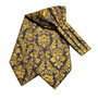 Free Shipping Men's Asoct Classic Wedding Necktie and Pocket Square Cufflinks Set Paisley