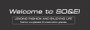 SO&EI Ins Popular Fashion Small Square Polarized Sunglasses Women Retro Punk Shades UV400 Men Trending Sun Glasses