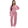 2023 Autumn Velour Two Piece Sets Women Tracksuit Long Sleeve Zipper Hooded Sweater Skinny Pant Suit Solid Casual Sweatshirt Set