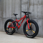 Hot Selling 26*4.0 Fat Tire Bike with 7-Speed 21 Speed 24" 26" Big Wide Alloy Wheel Steel Fork Snow Fat Tire Bike on Sale