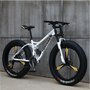 Hot Selling 26*4.0 Fat Tire Bike with 7-Speed 21 Speed 24" 26" Big Wide Alloy Wheel Steel Fork Snow Fat Tire Bike on Sale